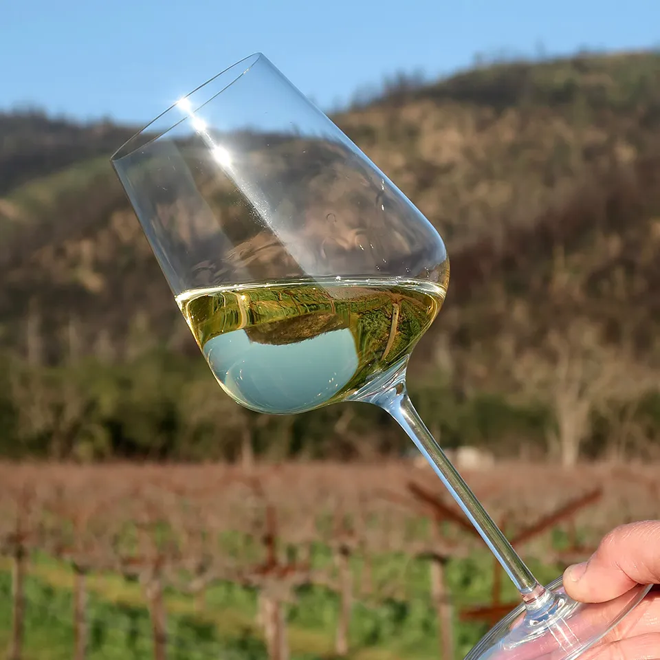 Glass of white wine